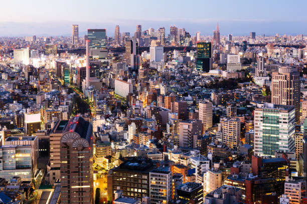 istock Night scene of Tokyo skyline 1308561799