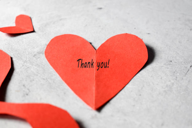 istock Red paper hearts with a thank you text on a gray backround 1308561870