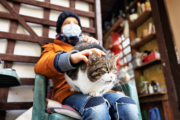 istock Cute cat enjoying lying on little boy's lap 1308563623