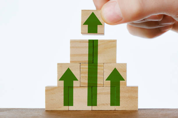 istock Business growth and success concept 1308566126