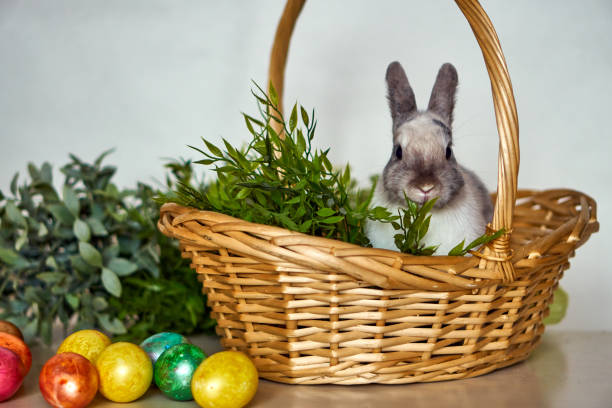 istock Easter bunny with colored eggs and basket. Festive hare with grass on white wall 1308567184