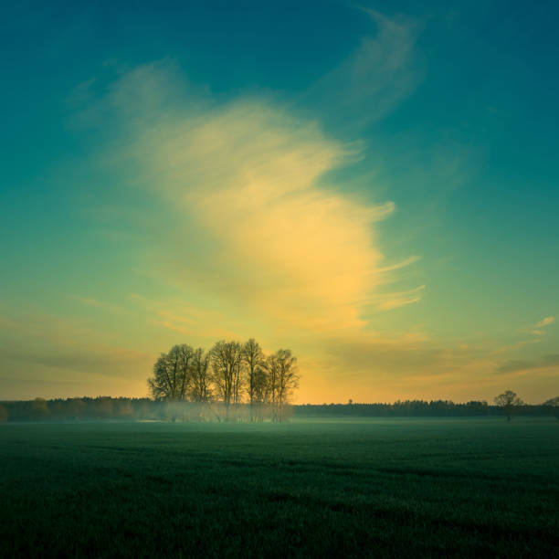 istock Beautiful clouds over the springtime scenery during the sunrise. Dramatic, colorful look. 1308567271