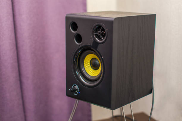 istock Black speaker on the stand. DJ monitor 1308568312