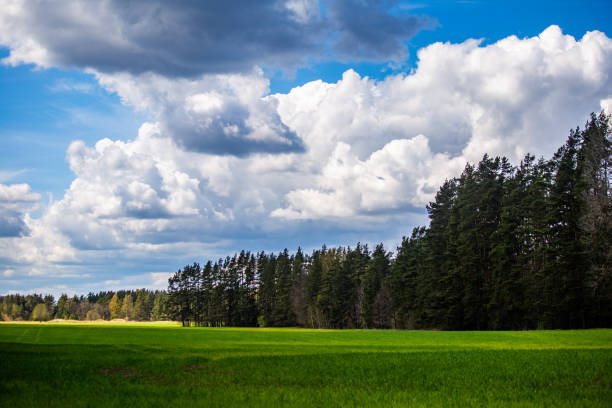 istock A beautiful springtime scenery with cloudy sky. Sunny day with clouds during spring in Northern Europe. 1308569429