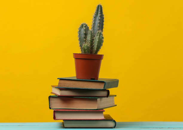 Stack of books with cactus on yellow background