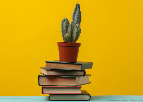 Stack of books with cactus on yellow background