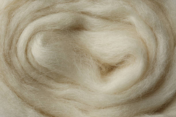 Combed white wool texture as background, closeup Combed white wool texture as background, closeup wool stock pictures, royalty-free photos & images