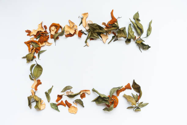 Dry citrus peel photo frame on white background
