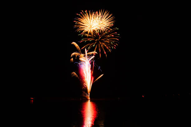 istock Colorful fireworks in the night sky 1308576514