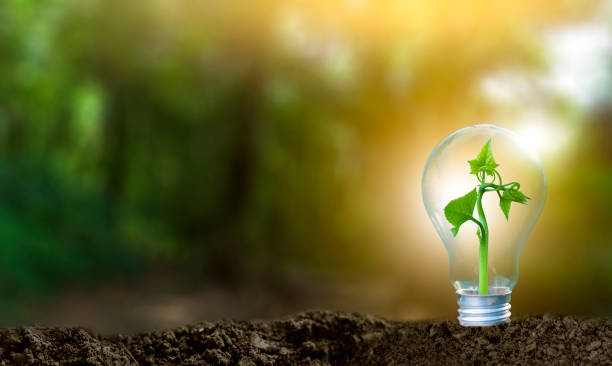 istock 3D illustration Renewable energy concept Earth Day or environmental protection Protect the forests that grow on the ground and help save the planet. 1308577107