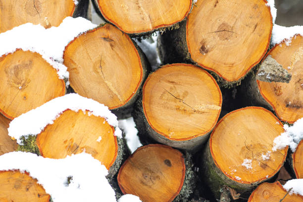 istock Stack composed of blocks, pieces or logs of wood with snow 1308577370
