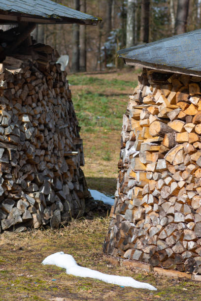 istock Circular or cylindrical structure or stack composed of blocks, pieces or logs of wood and roof in winter 1308577516