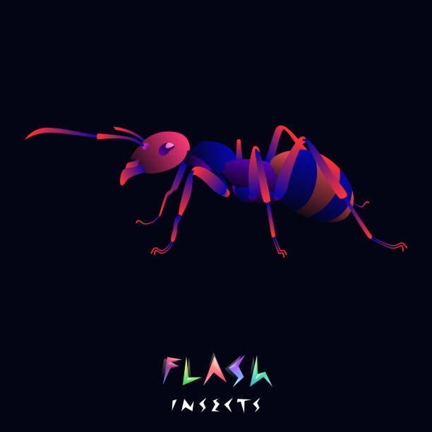 Flash Insect Image Vector 190+ Flat Id Bug Background Stock Illustrations, Royalty-Free Vector ...