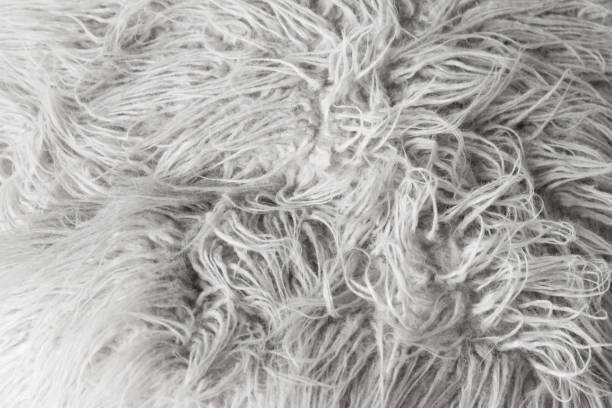 istock White long haired sheepskin close-up background 1308585583
