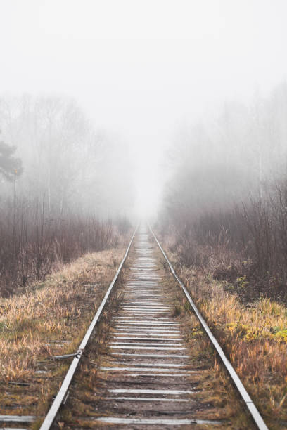 istock Old empty railway goes through a foggy forest 1308585593