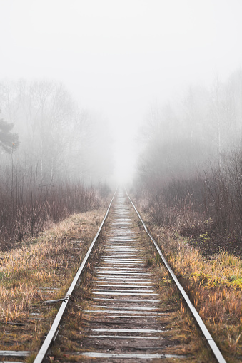 Old empty railway goes through a foggy forest on a morning, vertical background photo