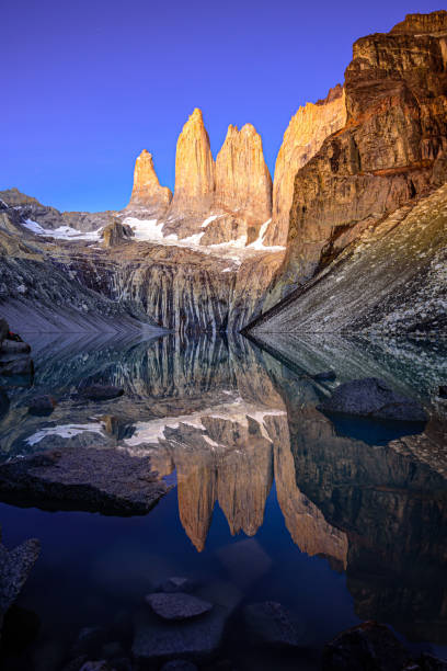park narodowy torres del paine w chile - tree patagonia autumn green zdjęcia i obrazy z banku zdjęć