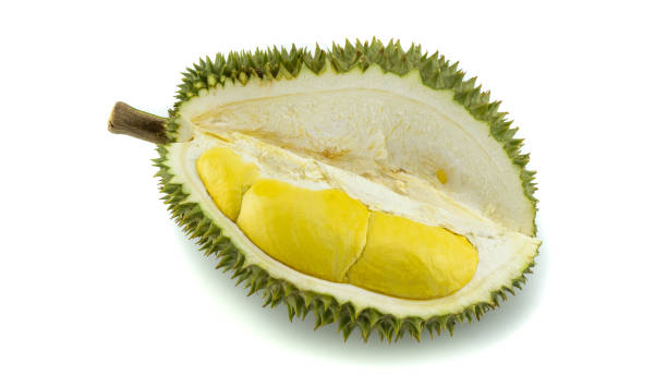 istock Durian, an exotic smell Thai King fruit on isolated white background. 1308586360