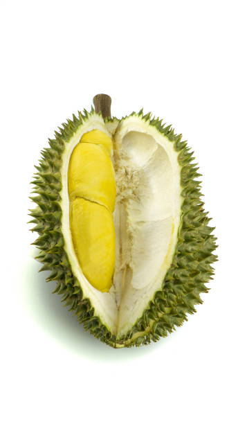 istock Durian, an exotic smell Thai King fruit on isolated white background. 1308586386