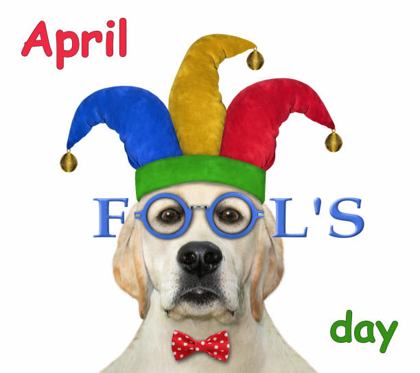 istock Dog wears jester hat and glasses 1308587798