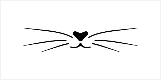 doodle katze schnurrbart-symbol isoliert auf weiß. umriss hand zeichnung kunstlinie. skizze logo tier. vektor-stock-illustration. eps 10 - animal nose stock-grafiken, -clipart, -cartoons und -symbole