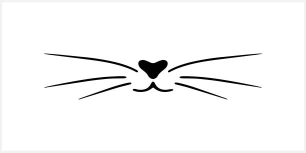 ilustraciones, imágenes clip art, dibujos animados e iconos de stock de icono de bigote de gato doodle aislado en blanco. delinear la línea de arte de dibujo a mano. animal con logotipo de boceto. ilustración de material vectorial. eps 10 - whisker
