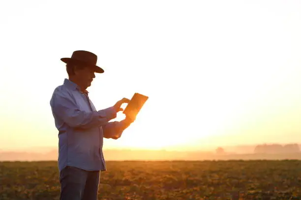 man using tablet computer in the field