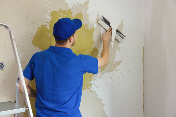 trabajador quitando papel pintado viejo de la pared. renovación interior de la renovación de la casa - peeling paint wall white fotografías e imágenes de stock