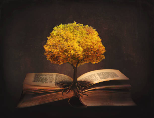 livro da vida, conhecimento, sabedoria - árvore velha e suas raízes em páginas abertas de um livro mágico; - bible religion christianity spirituality - fotografias e filmes do acervo