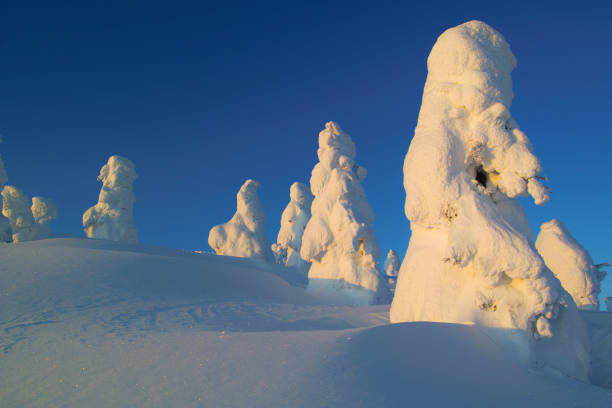 istock Snowfield dyed in the sunrise 1308595519