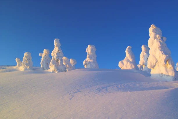 istock Snowfield dyed in the sunrise 1308595572