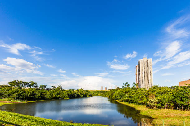 Ribeirao Preto city park, aka Water eyes garden. The city is located in Brazil country side. Sao Paulo state. Ribeirao Preto city park, aka Water eyes garden. The city is located in Brazil country side. Sao Paulo state. ribeirão preto stock pictures, royalty-free photos & images