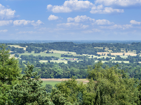 view of the suburbs of Birmingham with parkland housing and tower blocks from the Lickey Hills country Park.
