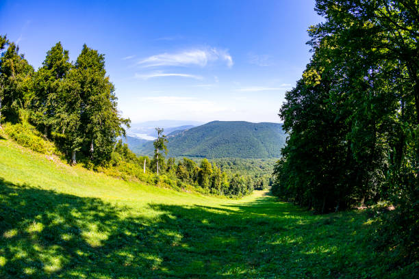 Bend of Danube river from Pilis mountains Hungary panoramic view.
