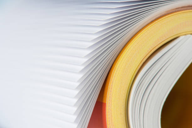 istock Rolled up paper with focus on edge 1308602993