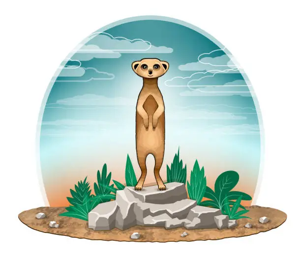 Vector illustration of Meerkat