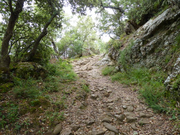 istock Potes and the Picos de Europa: a rustic footpath 1308603656