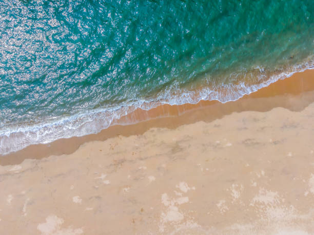 istock Aerial photography coastline beach waves background material 1308604501