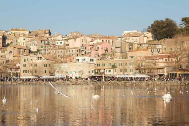 bandada de gaviotas en el lago bracciano en italia - bracciano fotografías e imágenes de stock