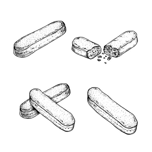печенье савоярди в наборе в стиле эскиза. ручная нарисованная итальянская коллекция ингредиентов десерта тирамису. традиционные итальянс� - biscotti italian culture cookie restaurant stock illustrations