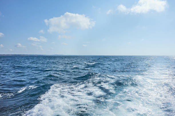 istock Sailing the ocean, seascape on a sunny summer day. 1308607226