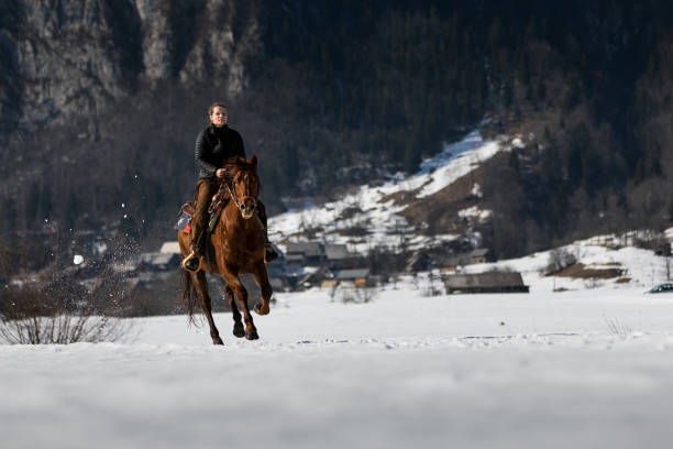 une fille monte un cheval le soir dans l’eau le long de la rive de fleuve - running horses photos et images de collection