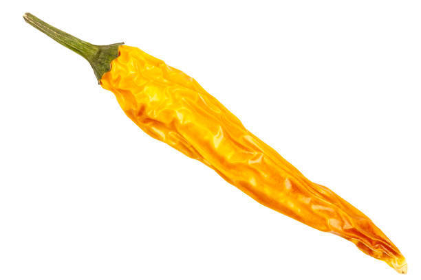 Yellow dried chili pepper isolated on white background.