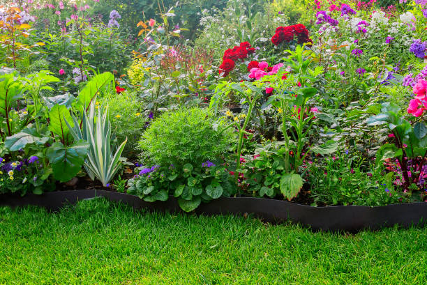istock Part a garden bed with different plants and flowers on the garden plot. 1308610873