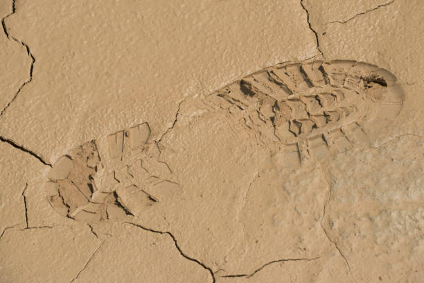 istock shoe print or footprint on the ground 1308611136