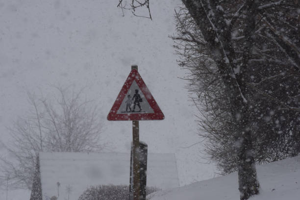 istock way to school in winter 1308611338