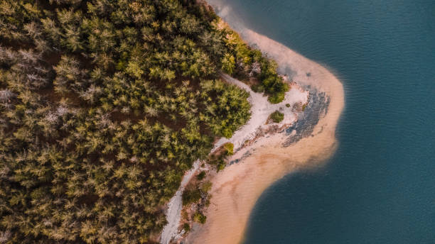 istock Areal drone view on a lake and woods 1308620552