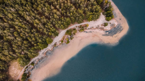 istock Areal drone view on a lake and woods 1308620571