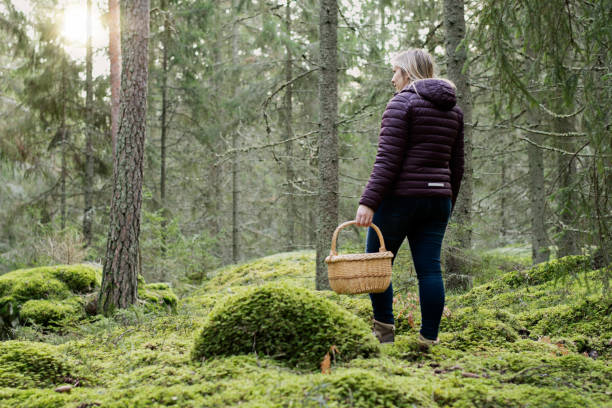istock Woman with mushroom basket in the forest 1308620916