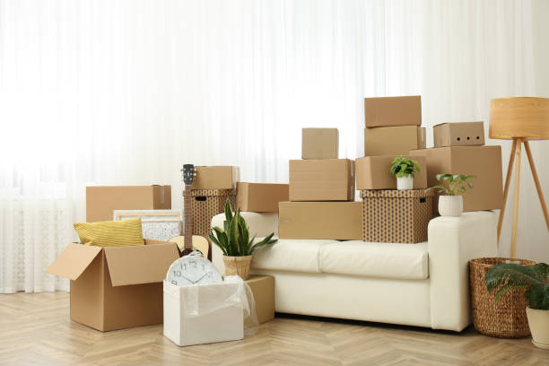 istock Cardboard boxes, potted plants and household stuff indoors. Moving day 1308621437